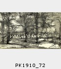 PK1910_72.jpg