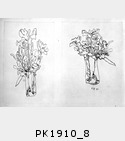 PK1910_8.jpg