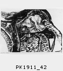 PK1911_42.jpg