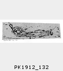 PK1912_132.jpg