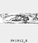 PK1912_8.jpg