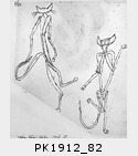 PK1912_82.jpg