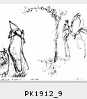 PK1912_9.jpg