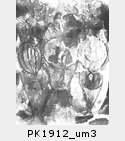 PK1912_um3.jpg
