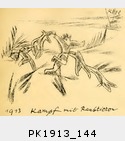 1913_144