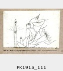 PK1915_111.jpg