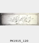 PK1915_120.jpg