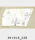 PK1915_235.jpg