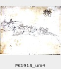 PK1915_um4.jpg