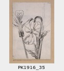 PK1916_35.jpg