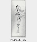 PK1916_36.jpg