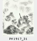 PK1917_31.jpg