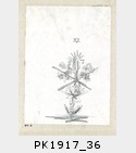PK1917_36.jpg