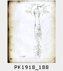 PK1918_188.jpg