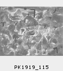 PK1919_115.jpg