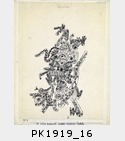 PK1919_16.jpg