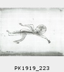 PK1919_223.jpg