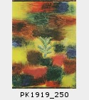 PK1919_250.jpg