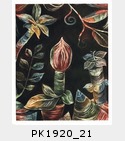 PK1920_21.jpg