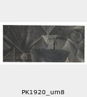 PK1920_um8.jpg