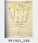 PK1921_150.jpg