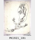 PK1921_181.jpg