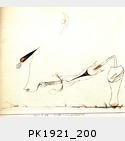 PK1921_200.jpg
