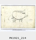 PK1921_214.jpg