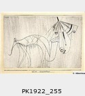 PK1922_255.jpg