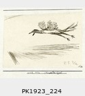 PK1923_224.jpg
