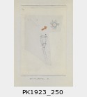 PK1923_250.jpg