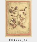 PK1923_43.jpg