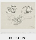 PK1923_um7.jpg