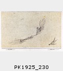 PK1925_230.jpg