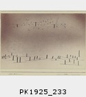 PK1925_233.jpg