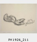 PK1926_211.jpg