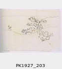 1927_203