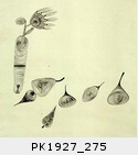 1927_275