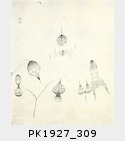 1927_309