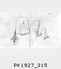 1927_315