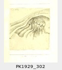 1929_302
