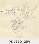 1930_259