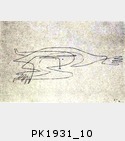 PK1931_10.jpg