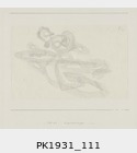 1931_111
