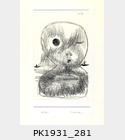 PK1931_281.jpg