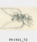 PK1931_72.jpg