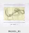 PK1931_81.jpg