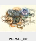 PK1931_88.jpg