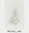 PK1932_148.jpg