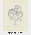 PK1932_157.jpg